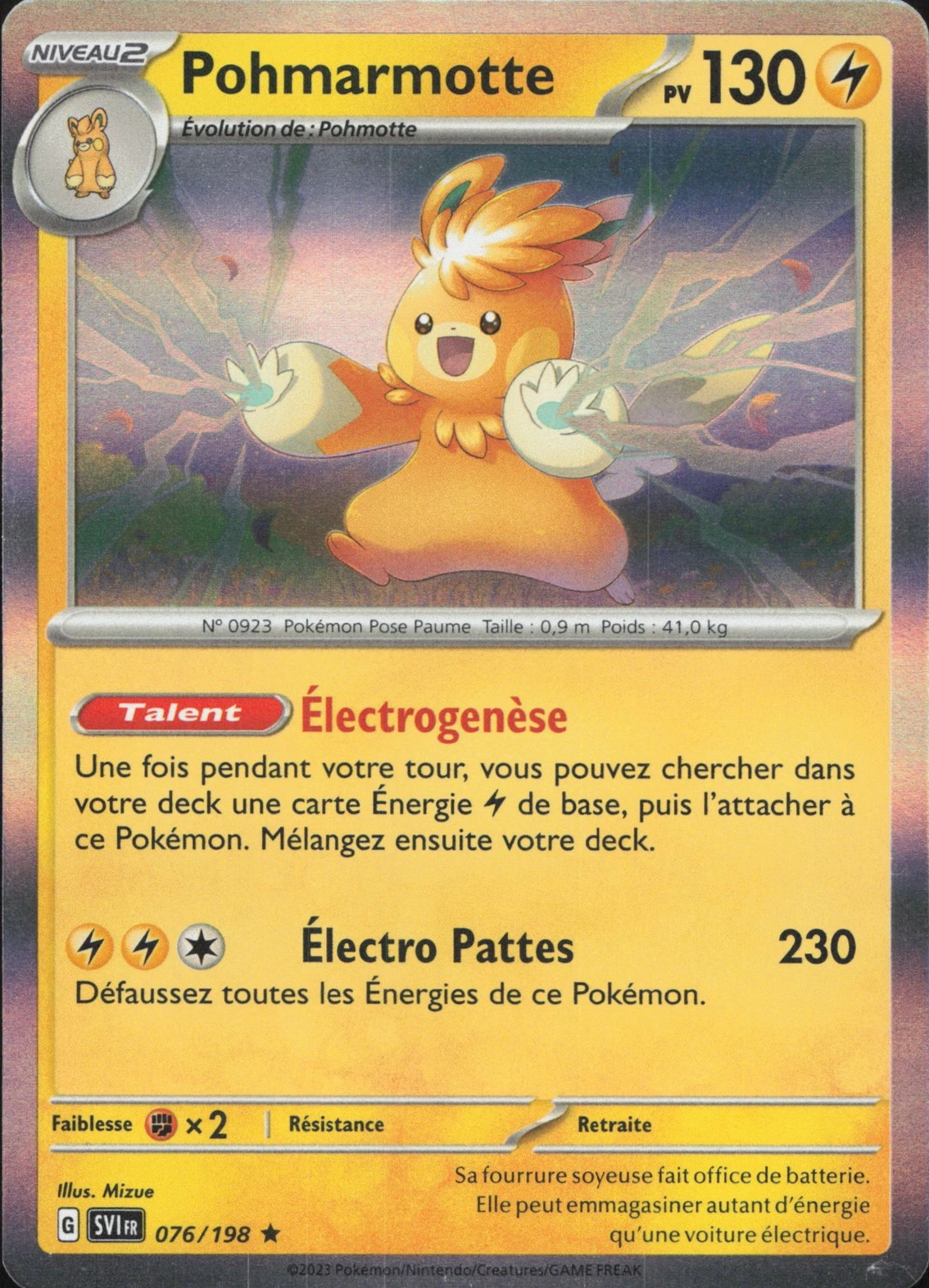 Pohmarmotte Holo